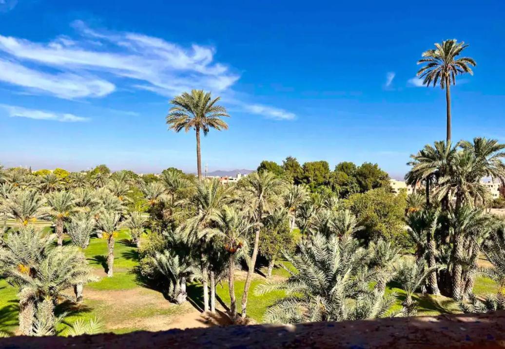 مراكش Chez L'Amazigh Riad المظهر الخارجي الصورة